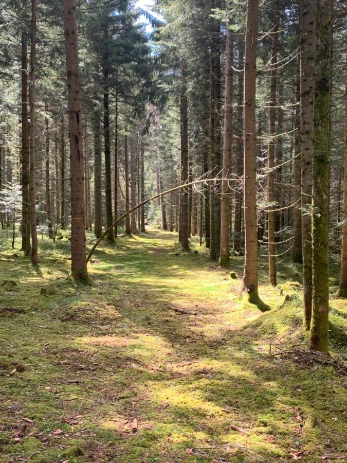 Tarahaus Apartment Sankt Georgen im Schwarzwald Ngoại thất bức ảnh