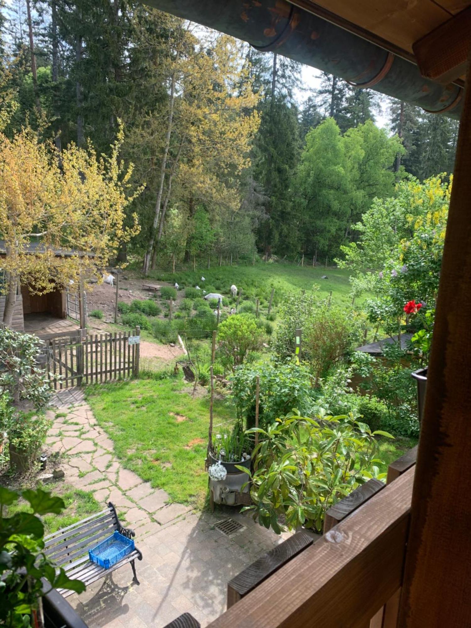 Tarahaus Apartment Sankt Georgen im Schwarzwald Ngoại thất bức ảnh