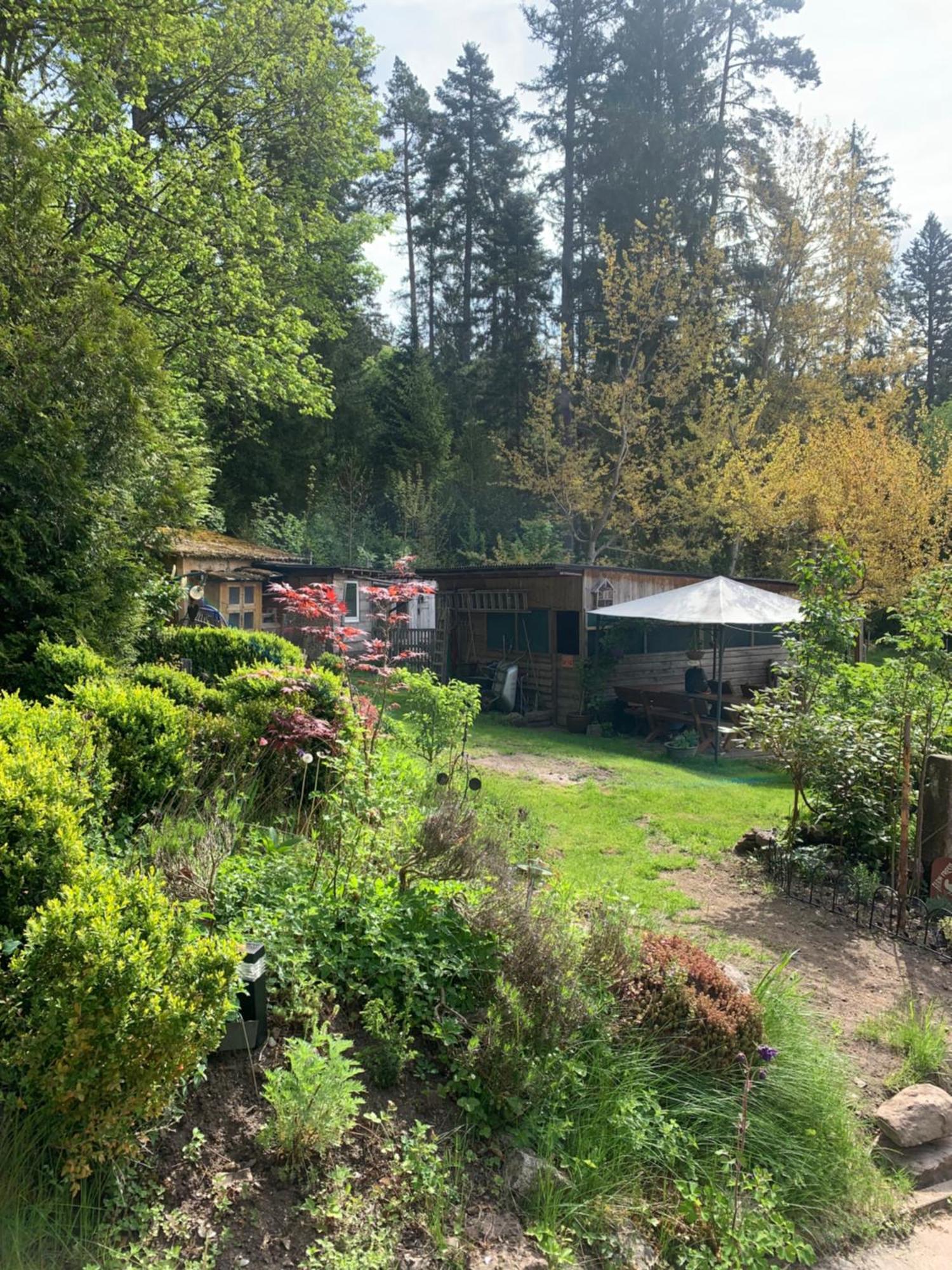 Tarahaus Apartment Sankt Georgen im Schwarzwald Ngoại thất bức ảnh