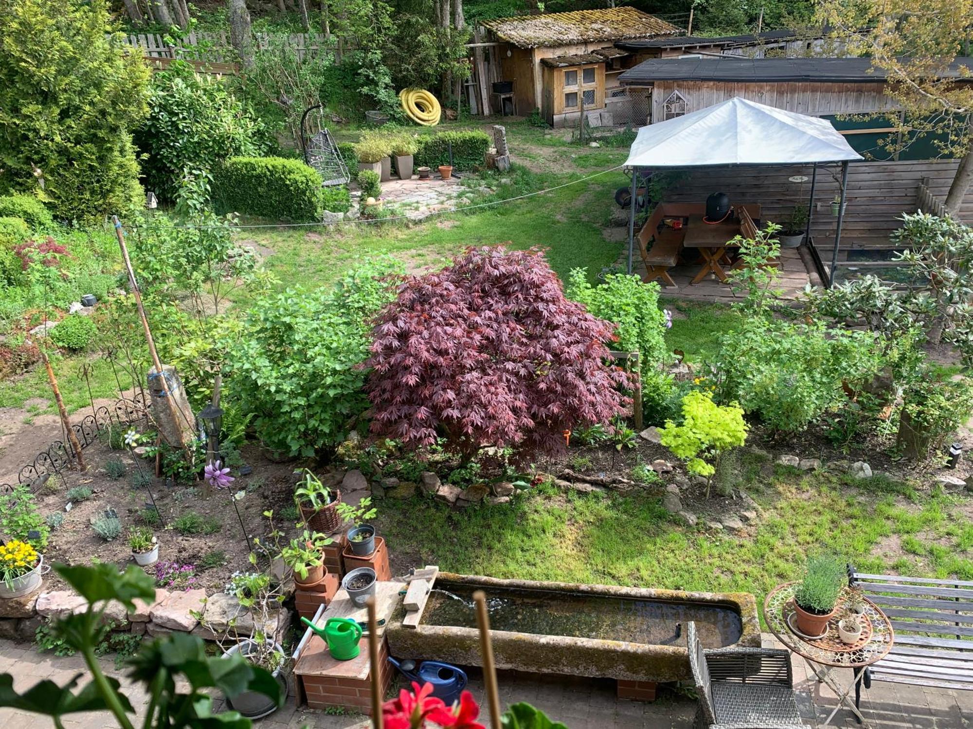 Tarahaus Apartment Sankt Georgen im Schwarzwald Ngoại thất bức ảnh