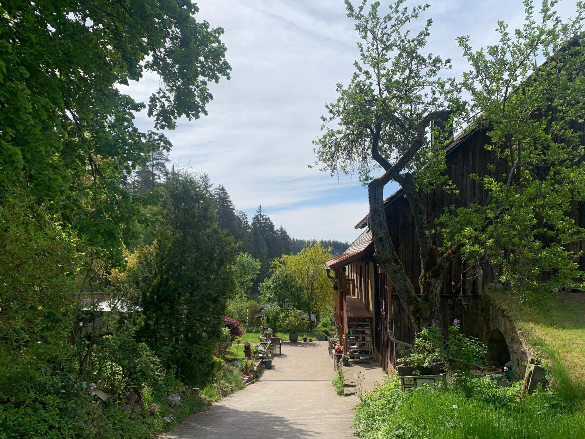 Tarahaus Apartment Sankt Georgen im Schwarzwald Ngoại thất bức ảnh